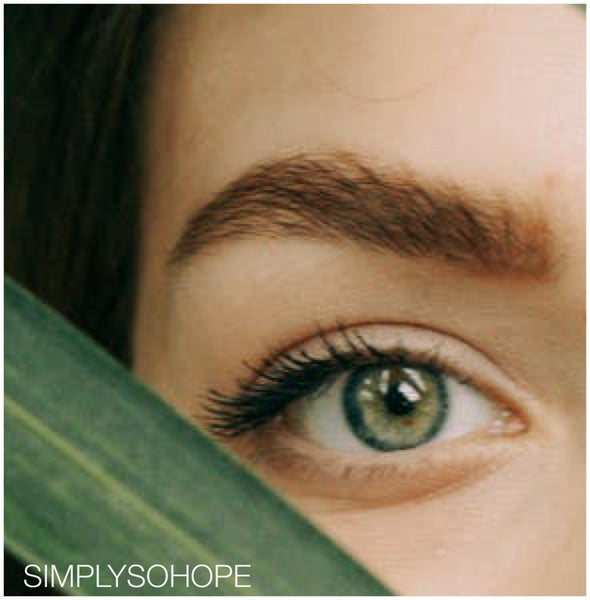 Brow Shaping Soap